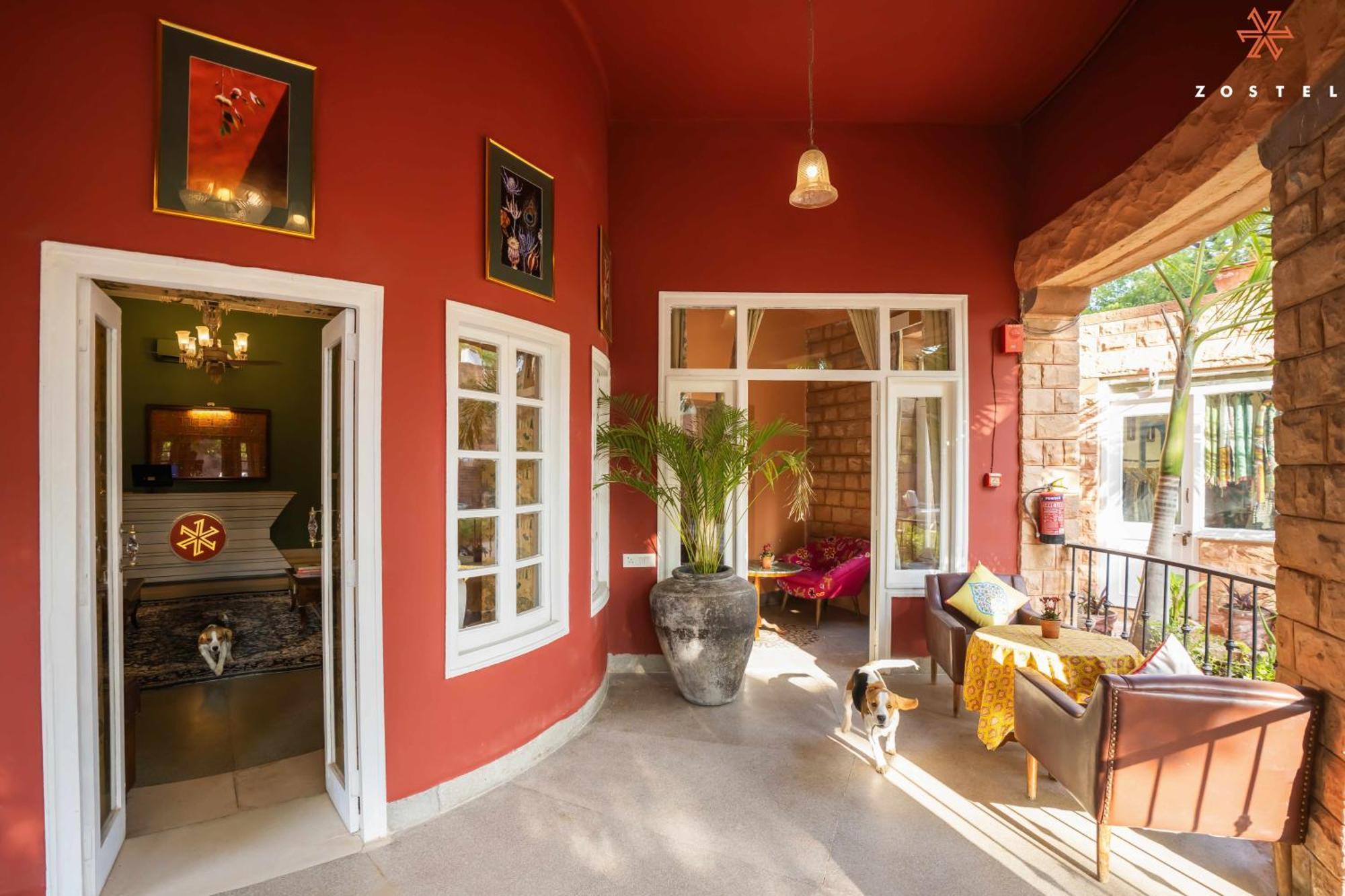 Zostel Jodhpur Hostel Jodhpur  Ngoại thất bức ảnh